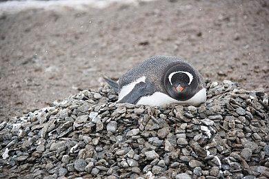 《暗黑地牢2》新模式和新DLC将于明年1月登PC平台